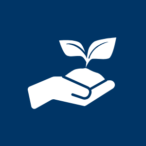 Architecture & Engineering Architecture & Engineering